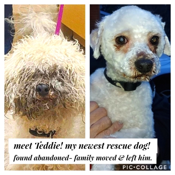 Elbow length fingerless rainbow gloves - Picture 11 of 11